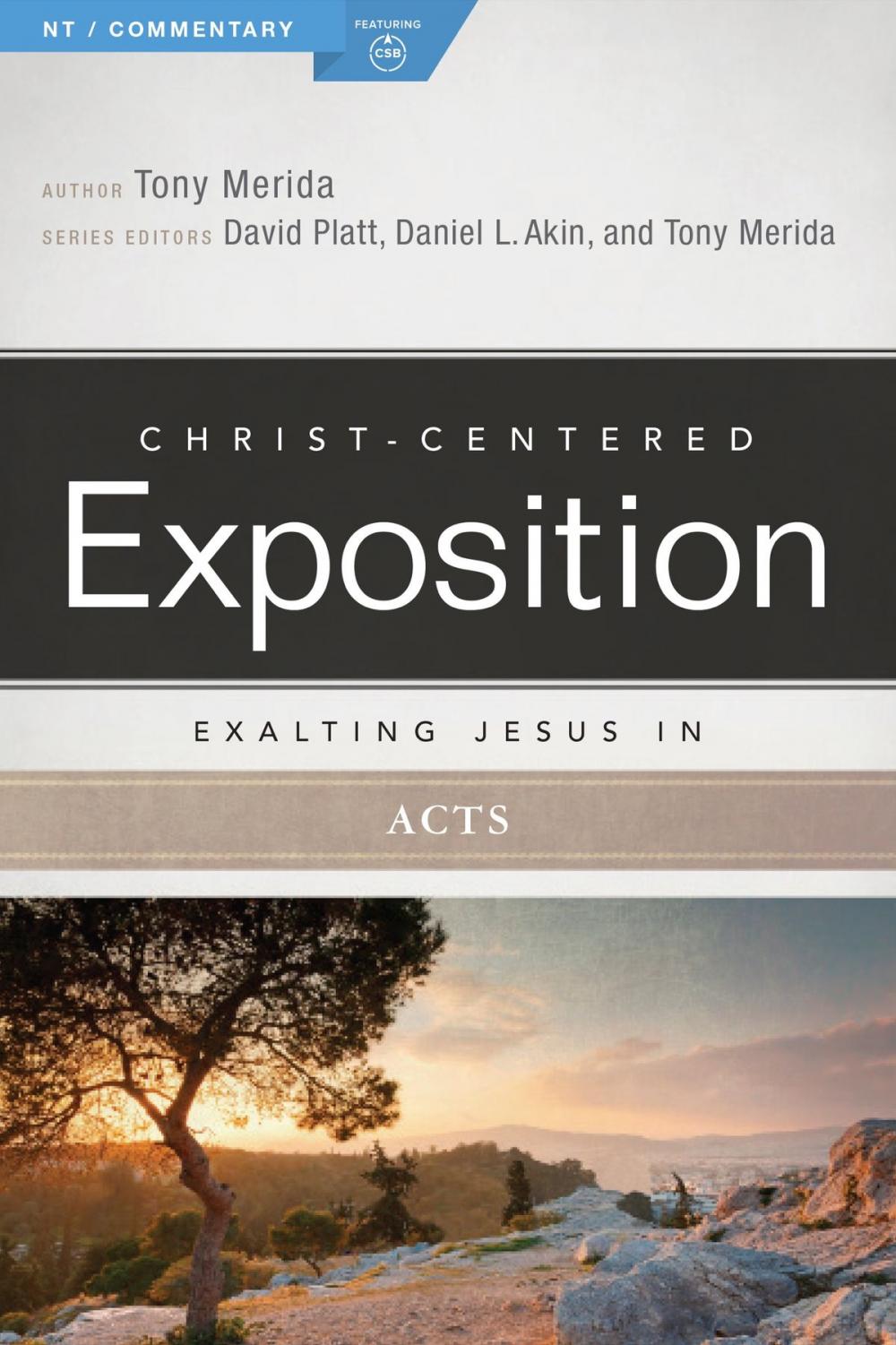 Big bigCover of Exalting Jesus in Acts