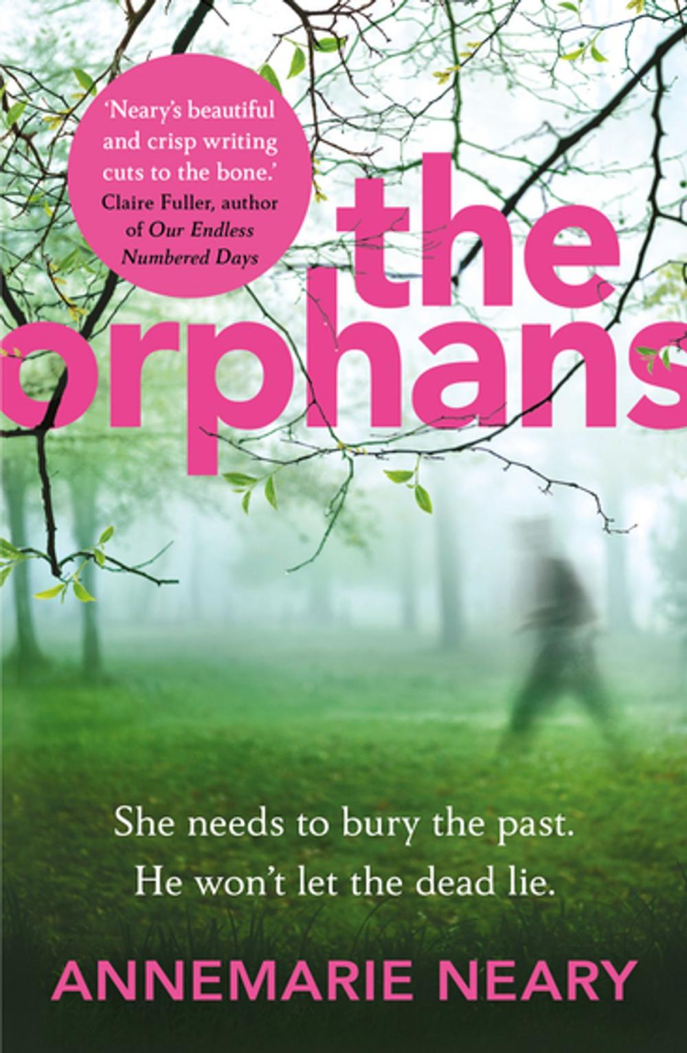 Big bigCover of The Orphans