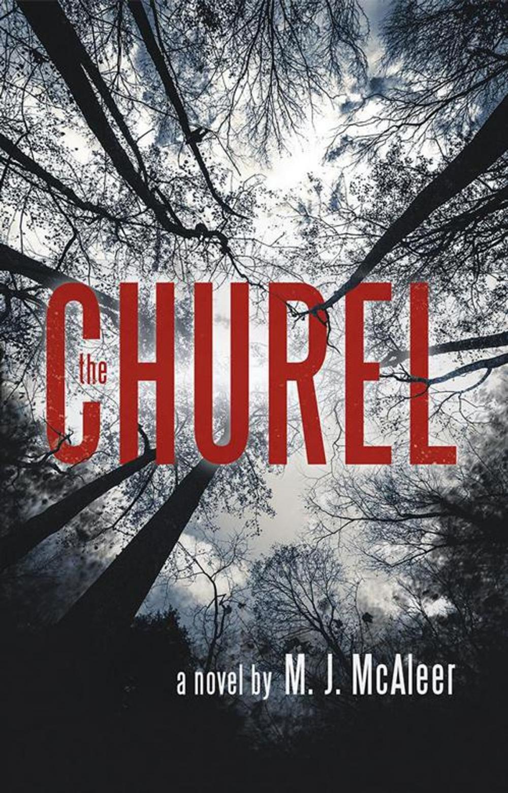 Big bigCover of The Churel