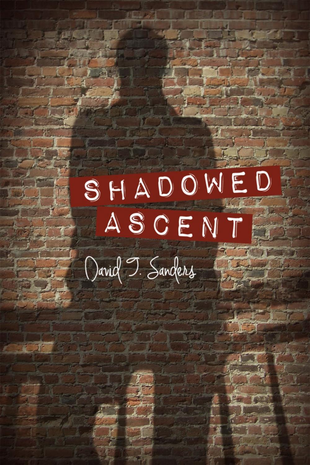 Big bigCover of Shadowed Ascent