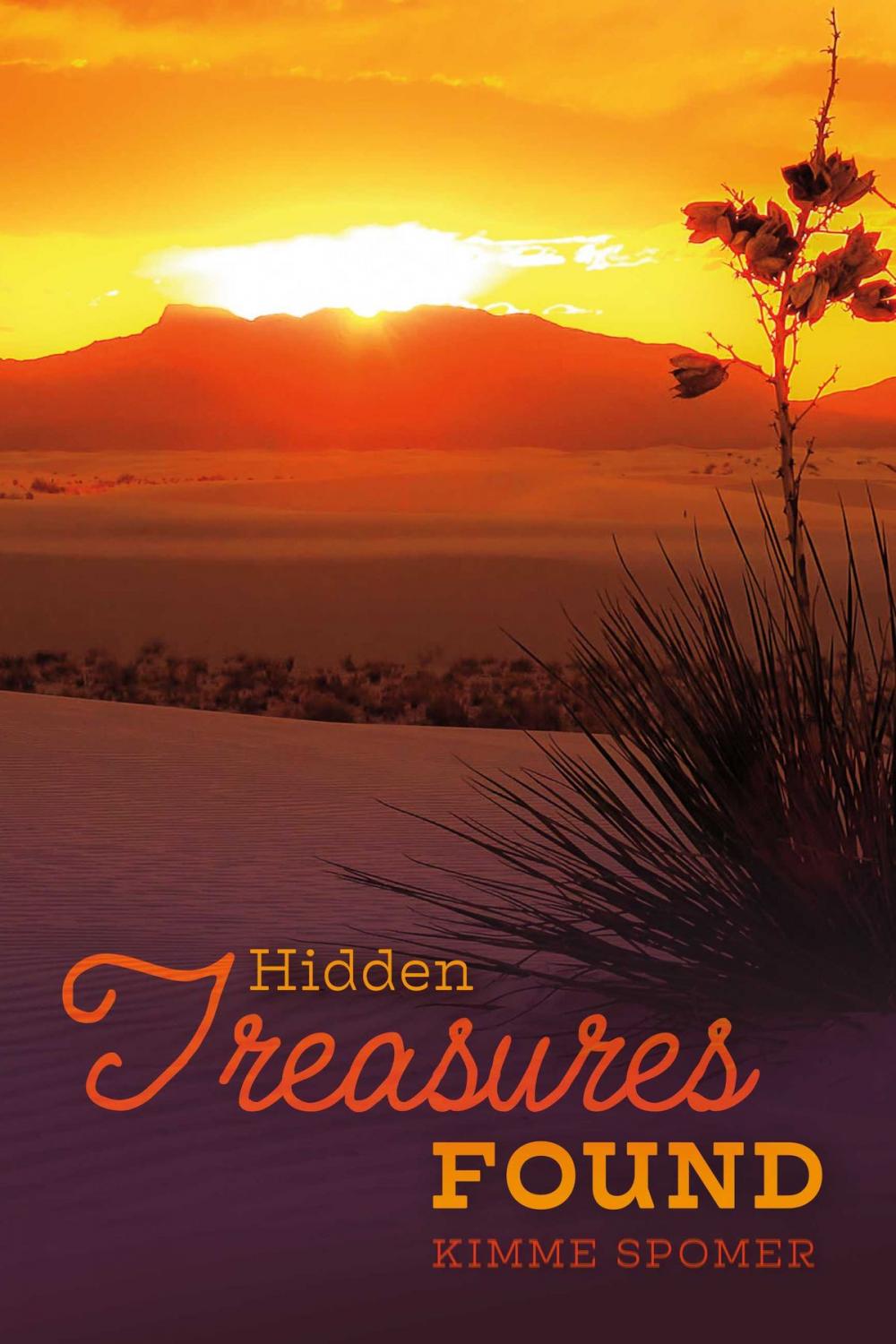 Big bigCover of Hidden Treasures Found