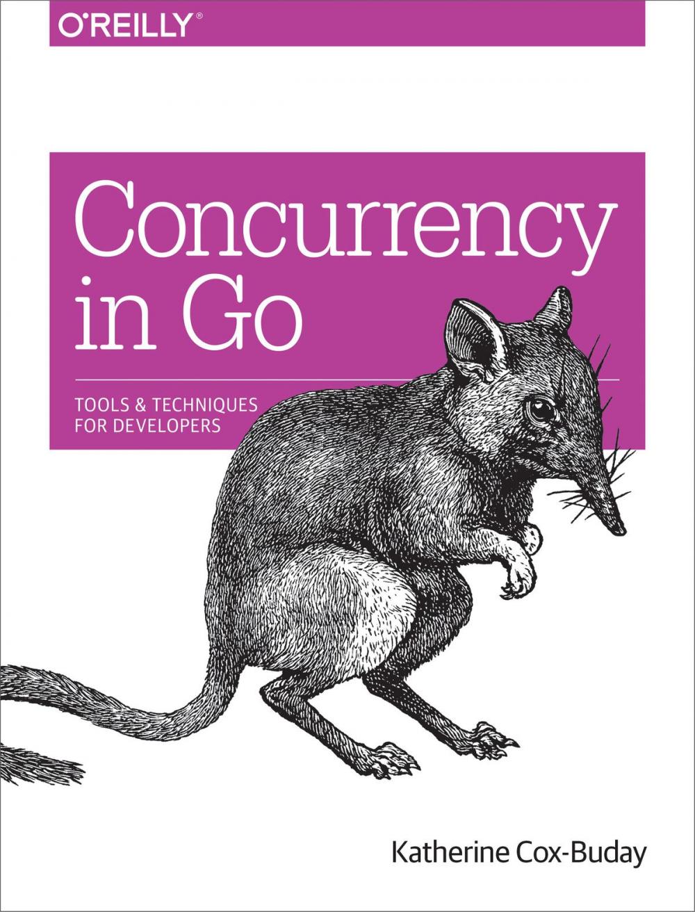 Big bigCover of Concurrency in Go