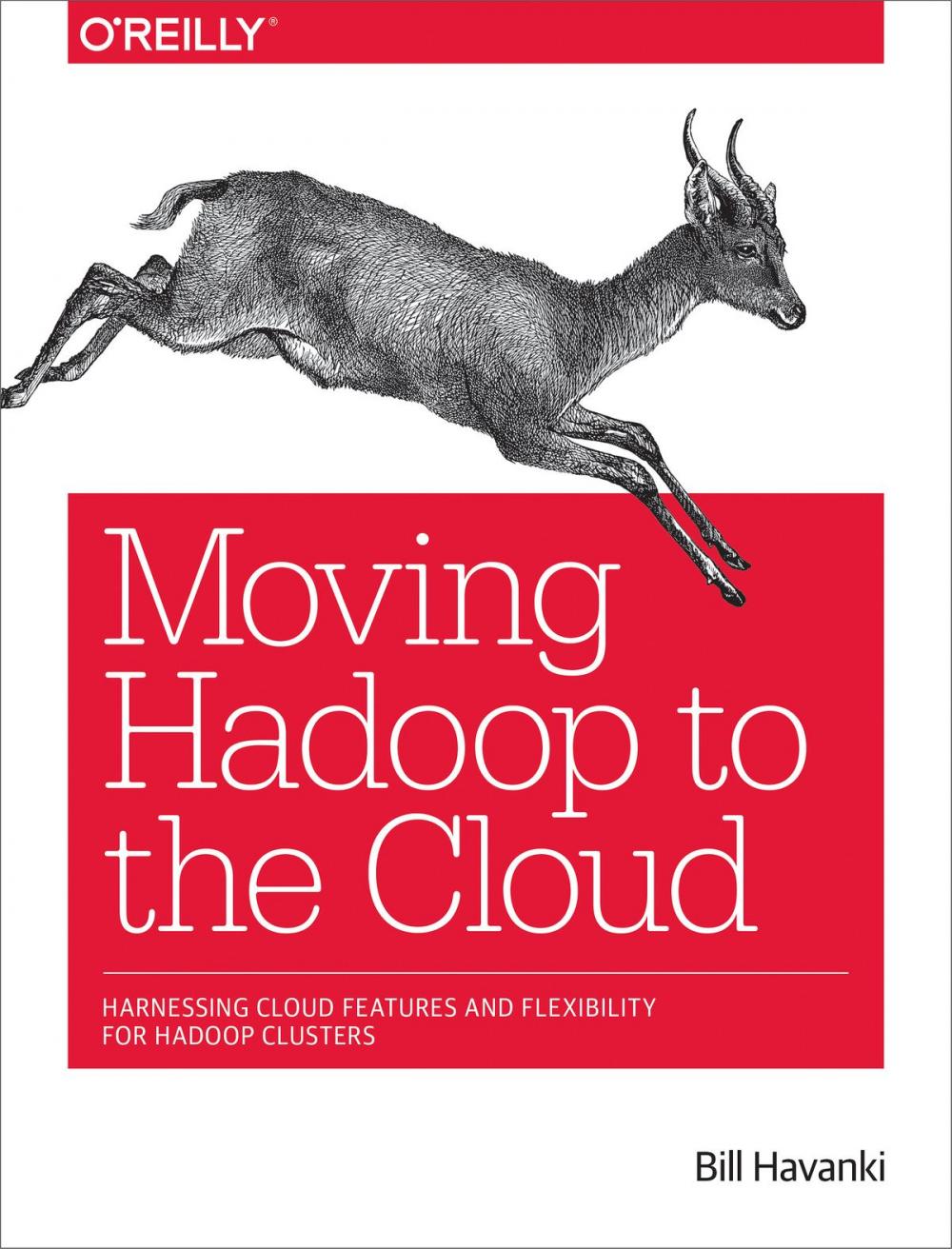 Big bigCover of Moving Hadoop to the Cloud