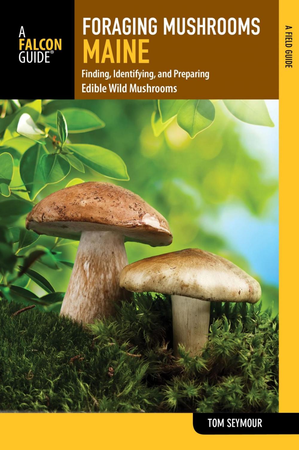 Big bigCover of Foraging Mushrooms Maine