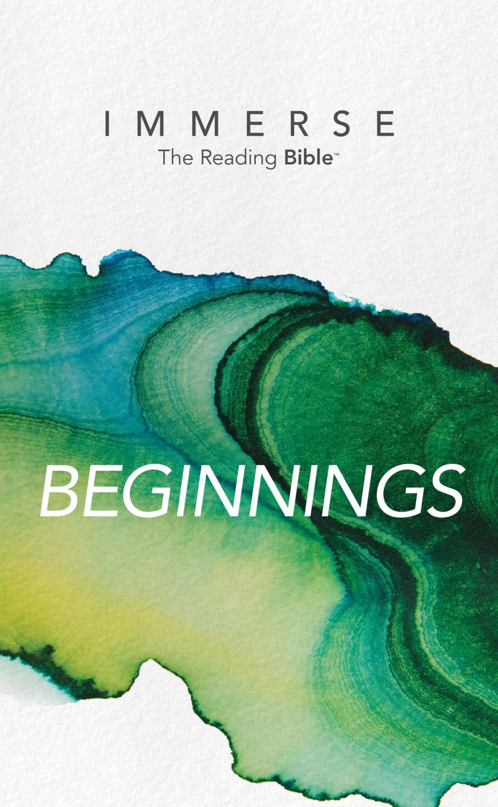 Big bigCover of Immerse: Beginnings