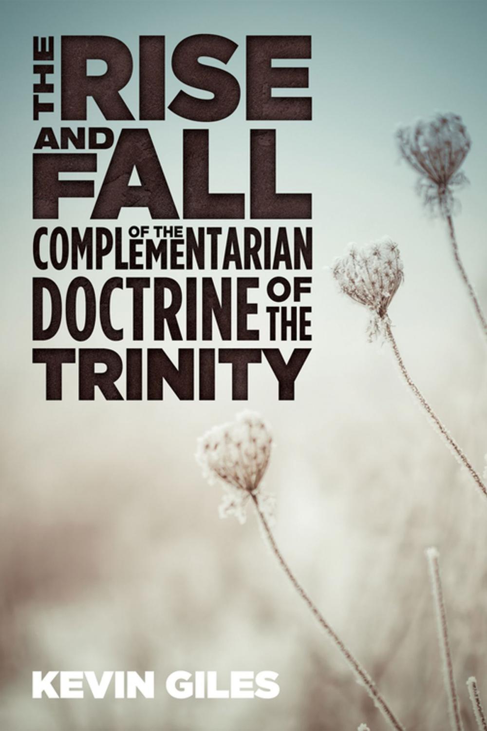 Big bigCover of The Rise and Fall of the Complementarian Doctrine of the Trinity