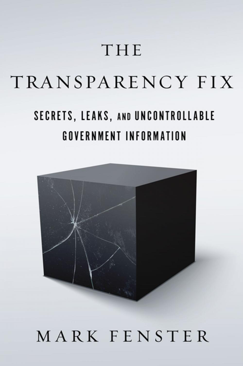 Big bigCover of The Transparency Fix