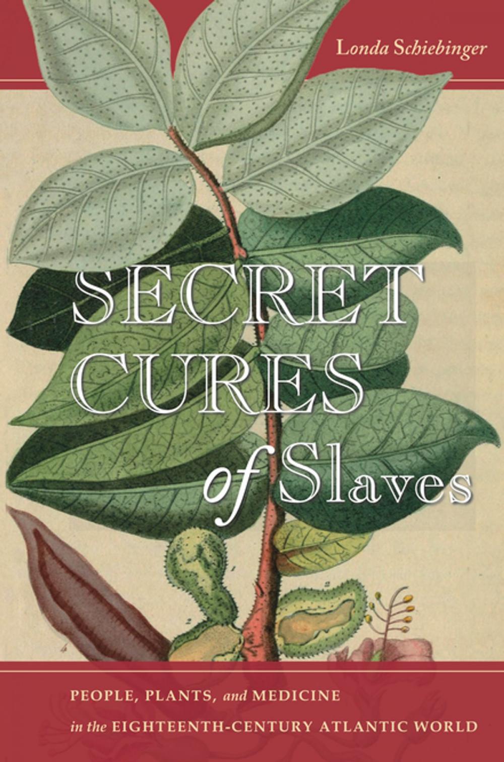 Big bigCover of Secret Cures of Slaves