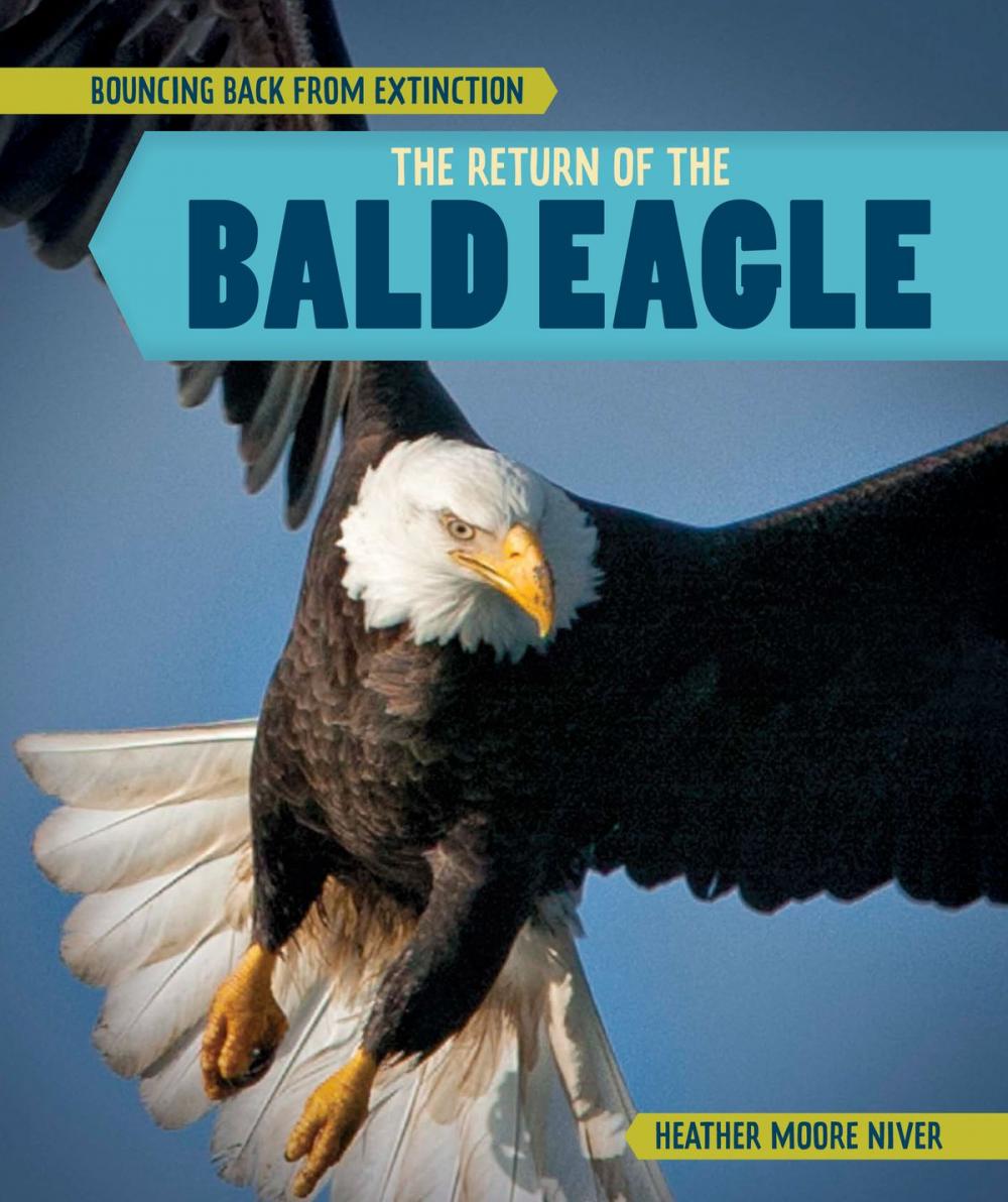 Big bigCover of The Return of the Bald Eagle