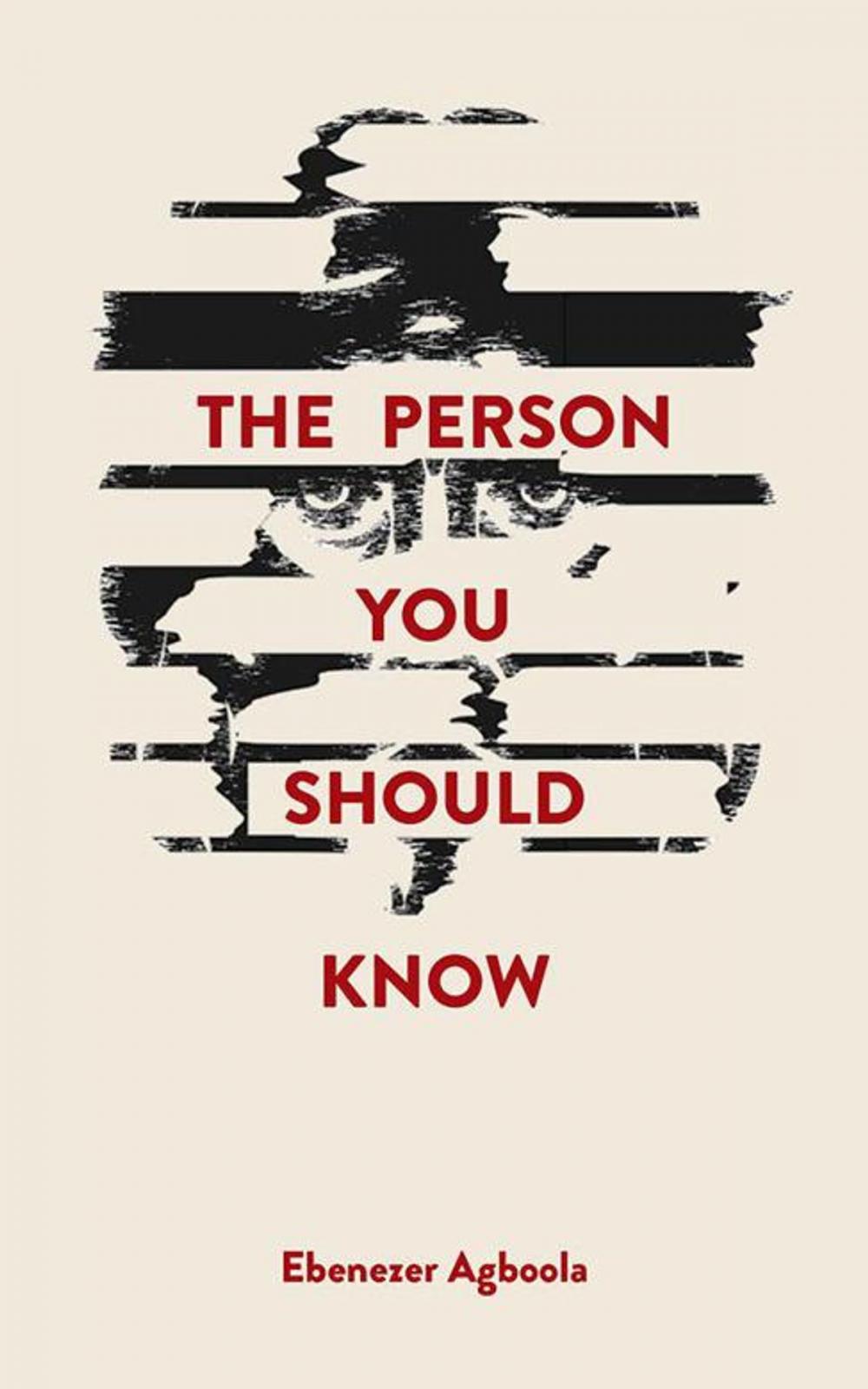 Big bigCover of The Person You Should Know