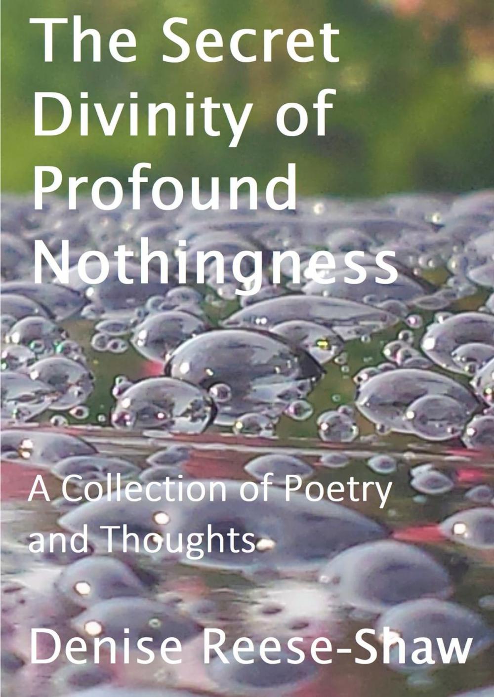 Big bigCover of The Secret Divinity of Profound Nothingness