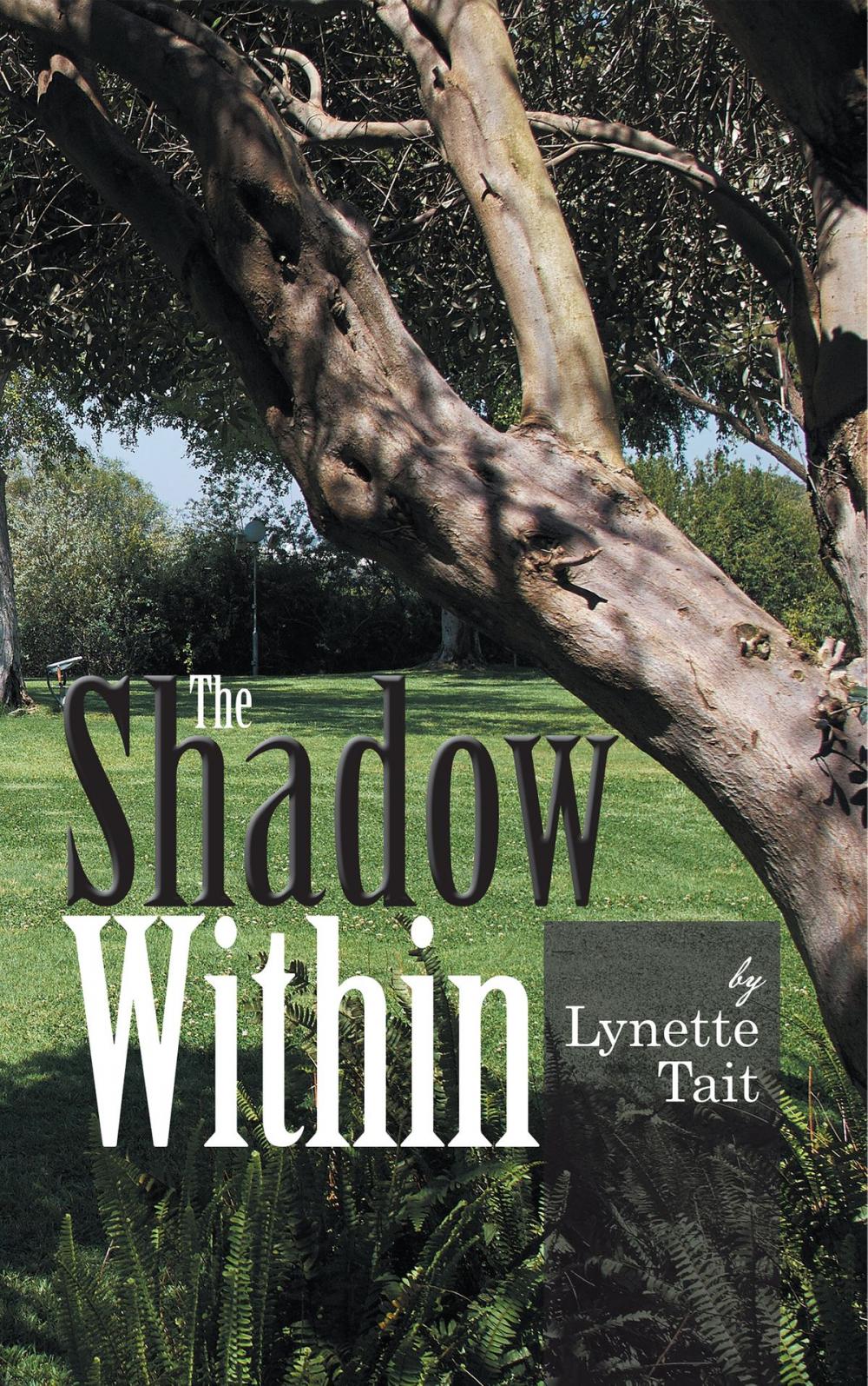 Big bigCover of The Shadow Within