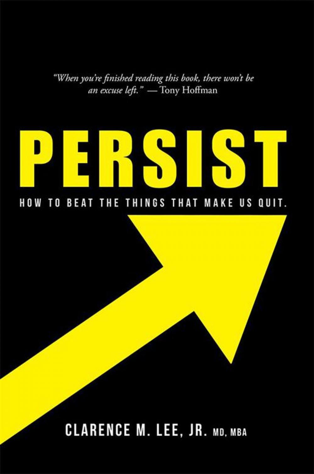 Big bigCover of Persist