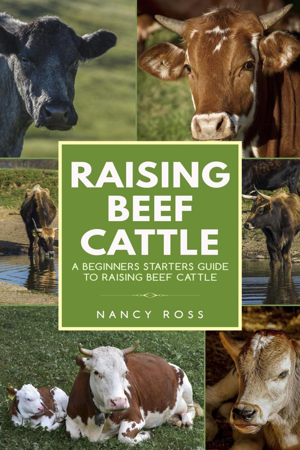 Big bigCover of Raising Beef Cattle: A Beginner’s Starters Guide to Raising Beef Cattle