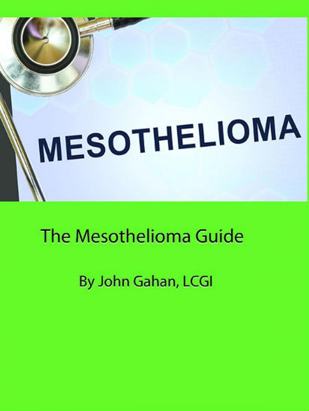 Big bigCover of The Mesothelioma Guide