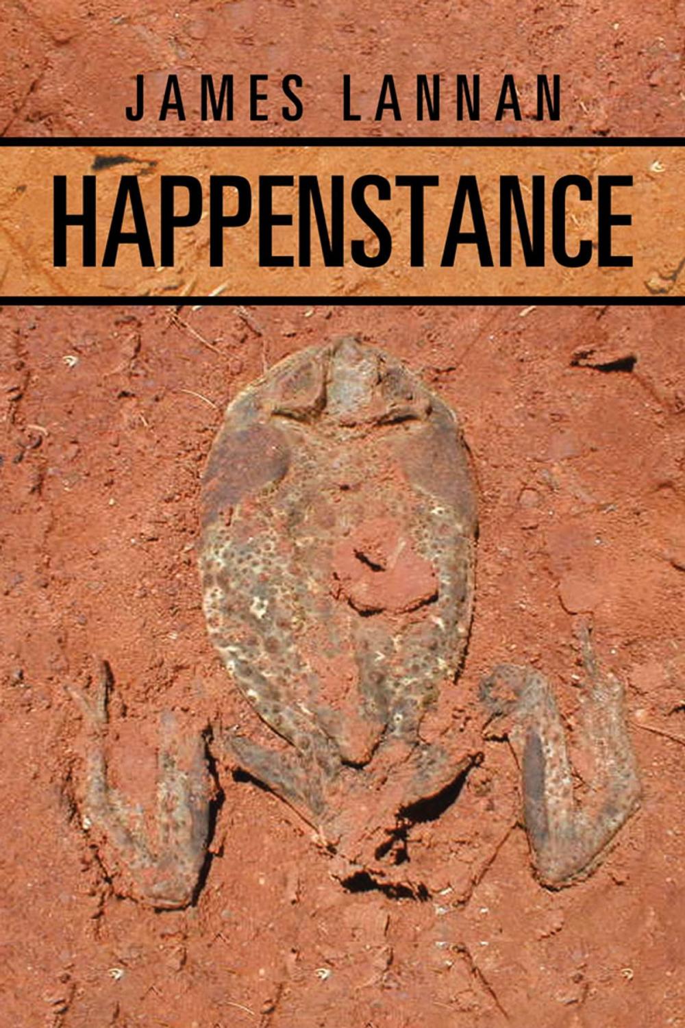 Big bigCover of Happenstance