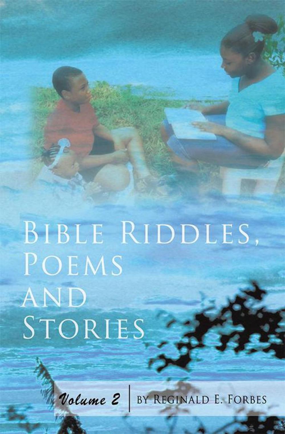 Big bigCover of Bible Riddles, Poems and Stories