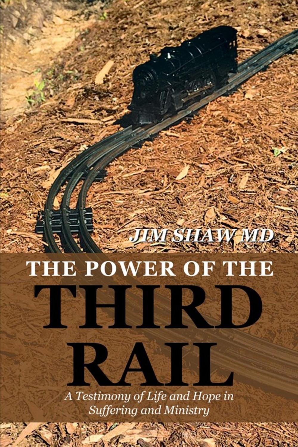 Big bigCover of The Power of the Third Rail