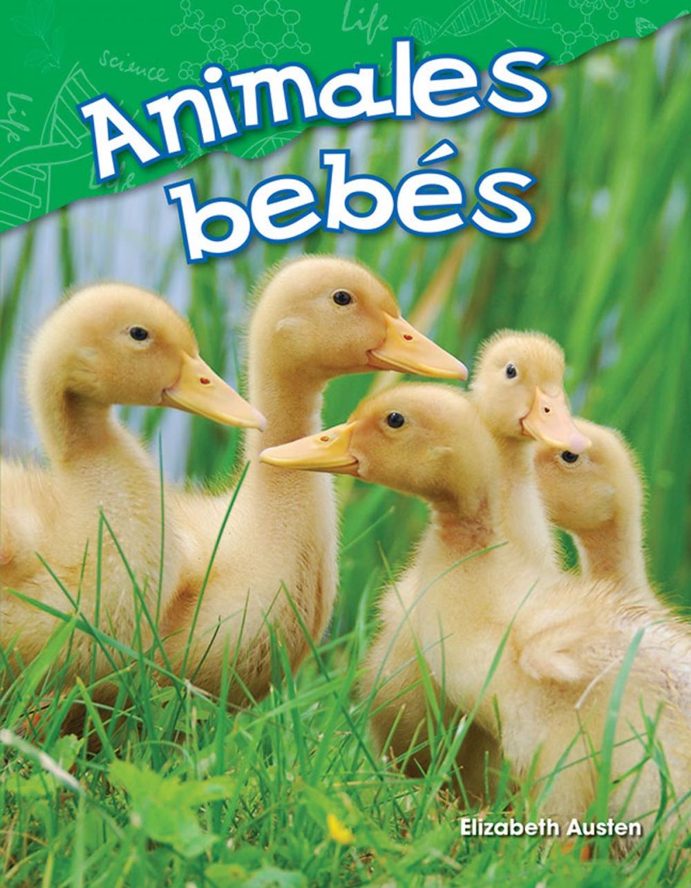 Big bigCover of Animales bebés