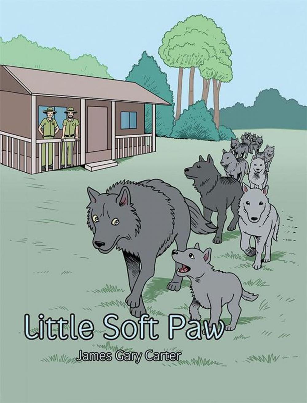 Big bigCover of Little Soft Paw