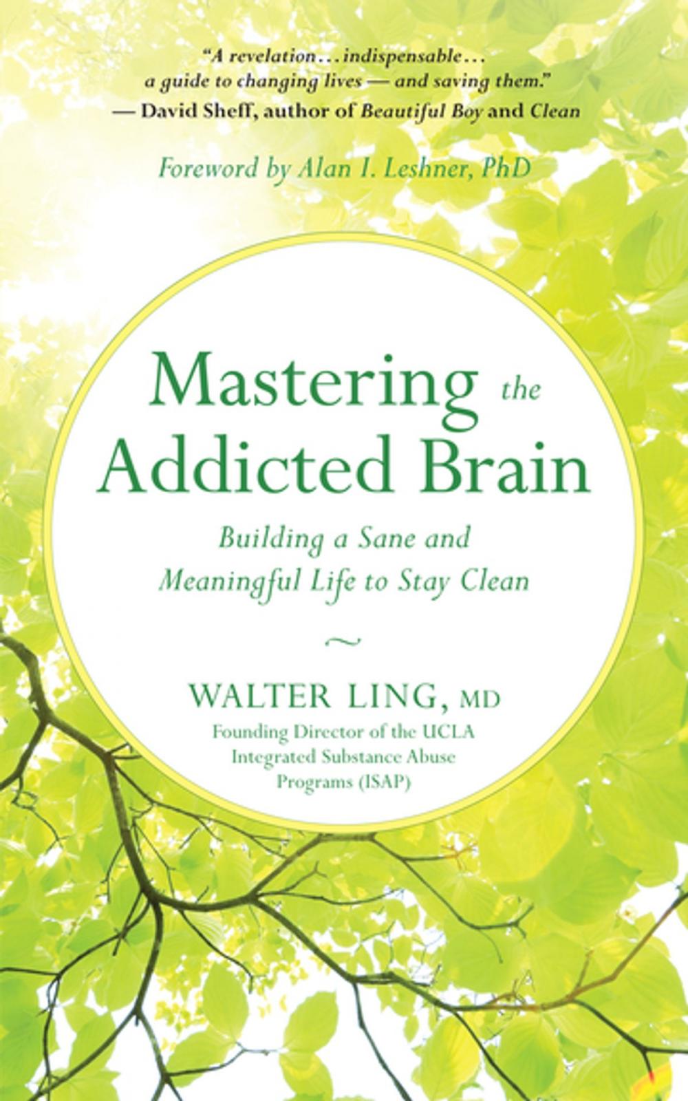 Big bigCover of Mastering the Addicted Brain