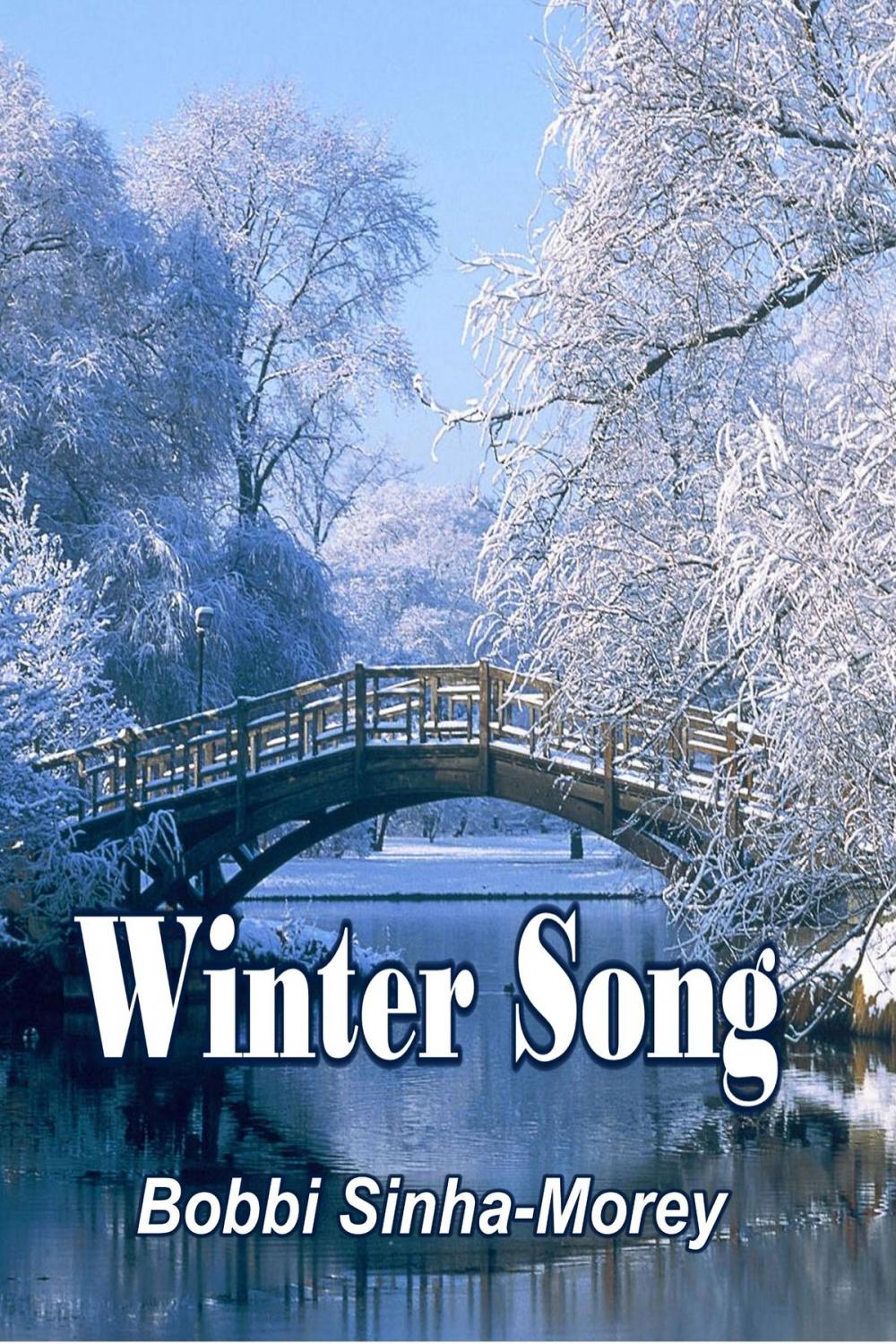 Big bigCover of Winter Song