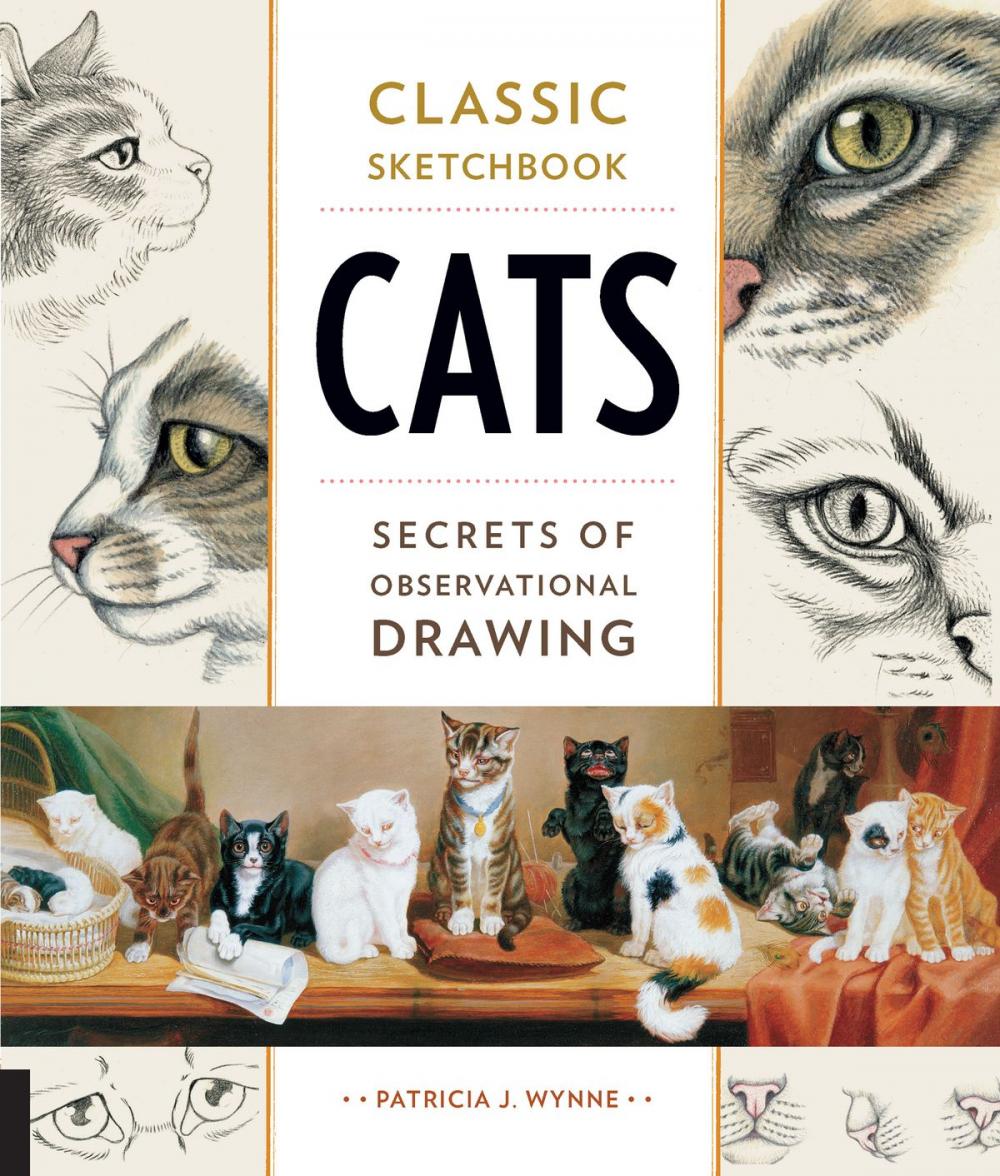 Big bigCover of Classic Sketchbook: Cats