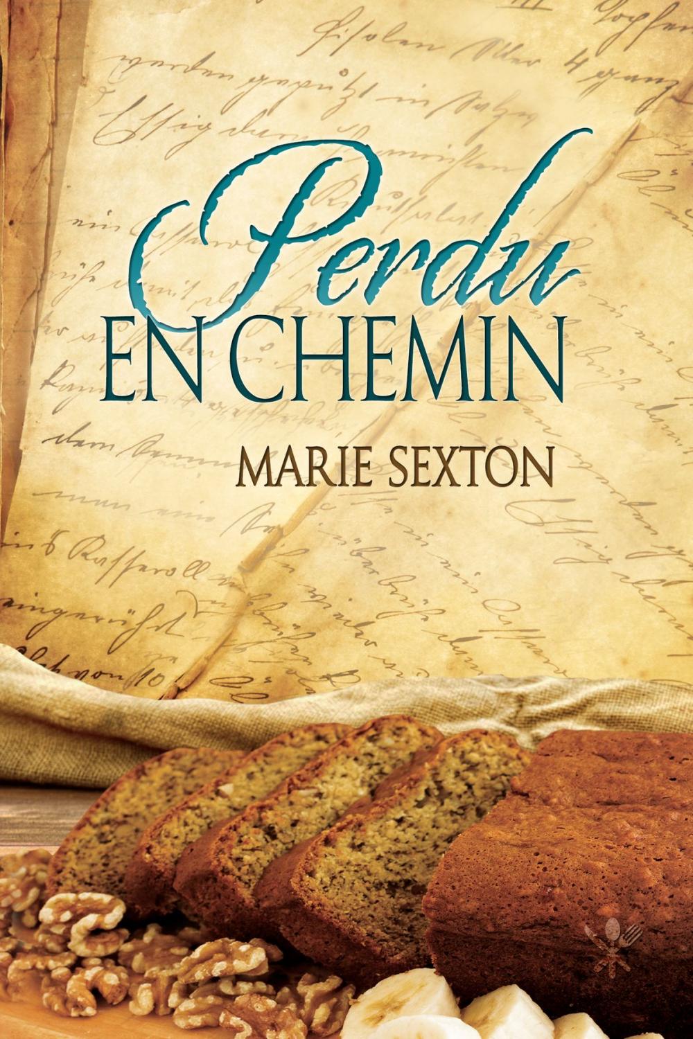 Big bigCover of Perdu en chemin