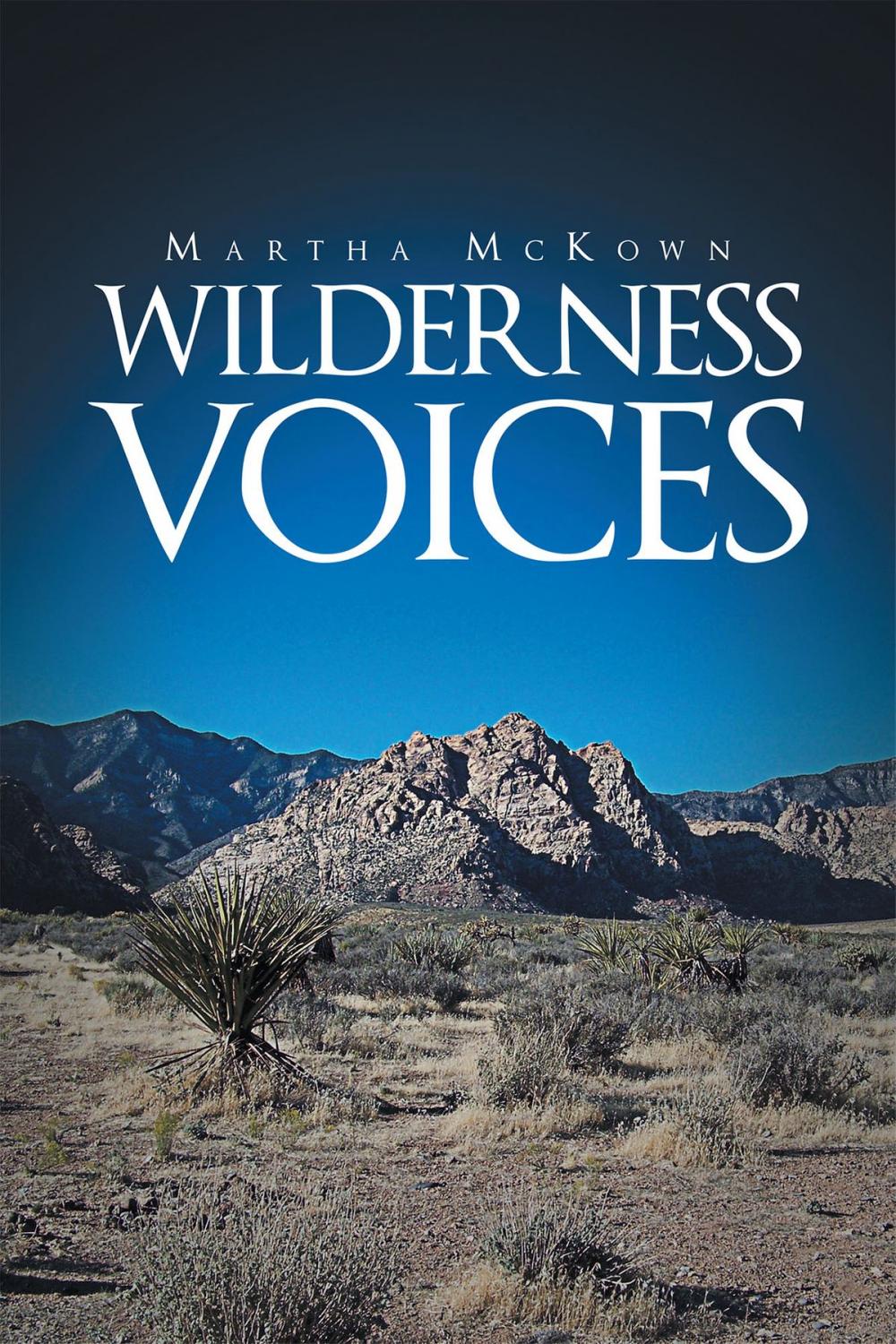 Big bigCover of Wilderness Voices