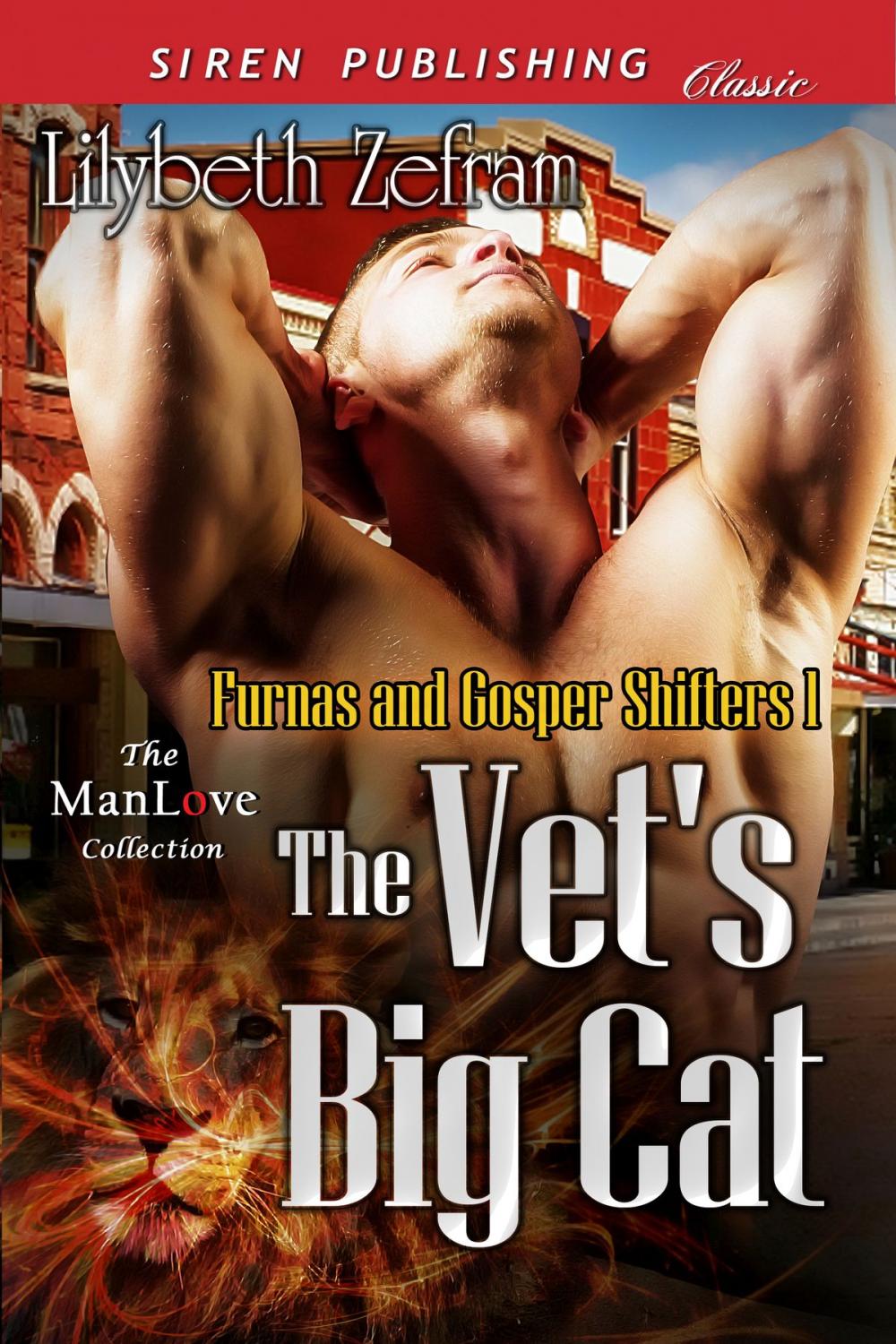 Big bigCover of The Vet's Big Cat