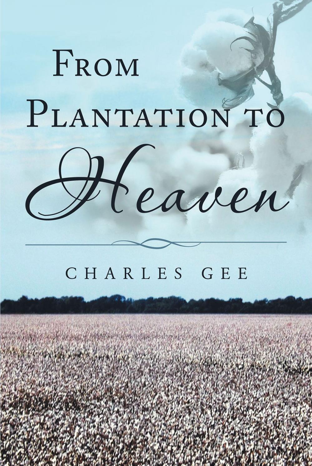 Big bigCover of From Plantation to Heaven