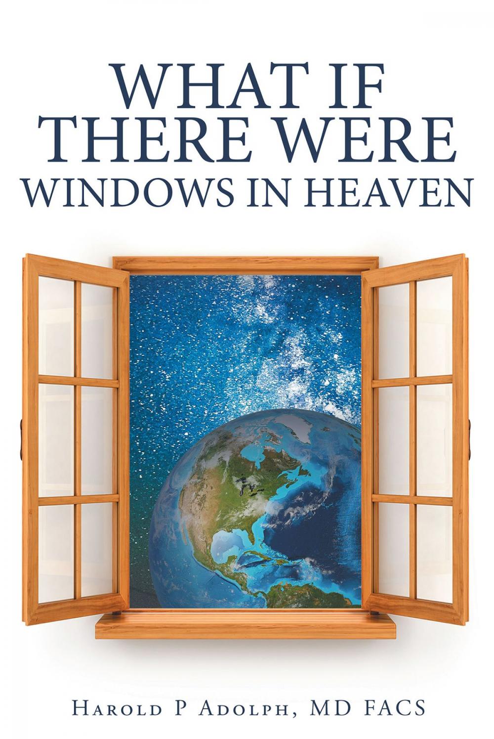 Big bigCover of What If There Were Windows in Heaven