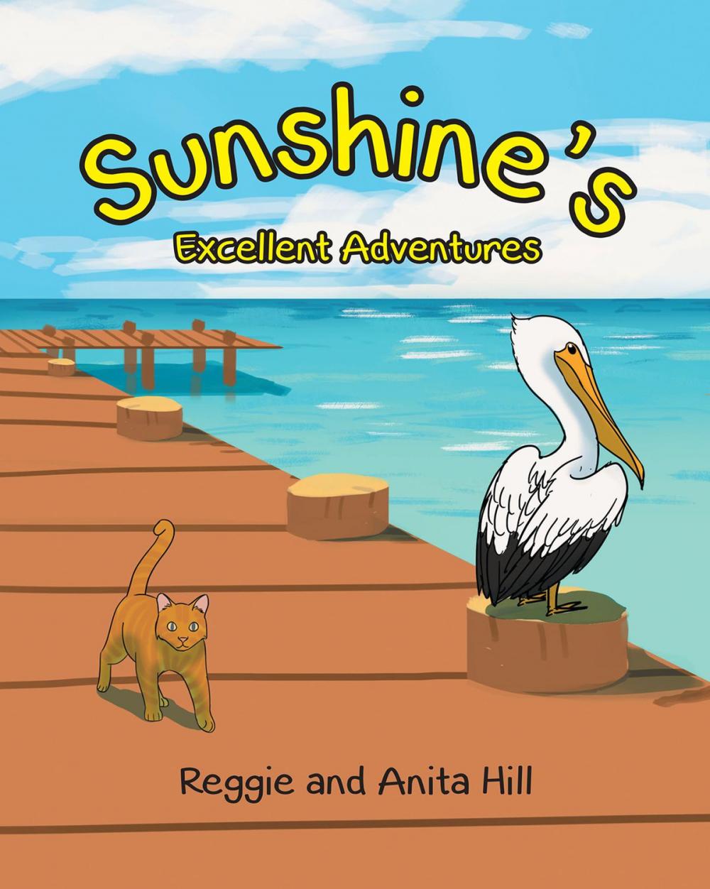 Big bigCover of Sunshine's Excellent Adventures