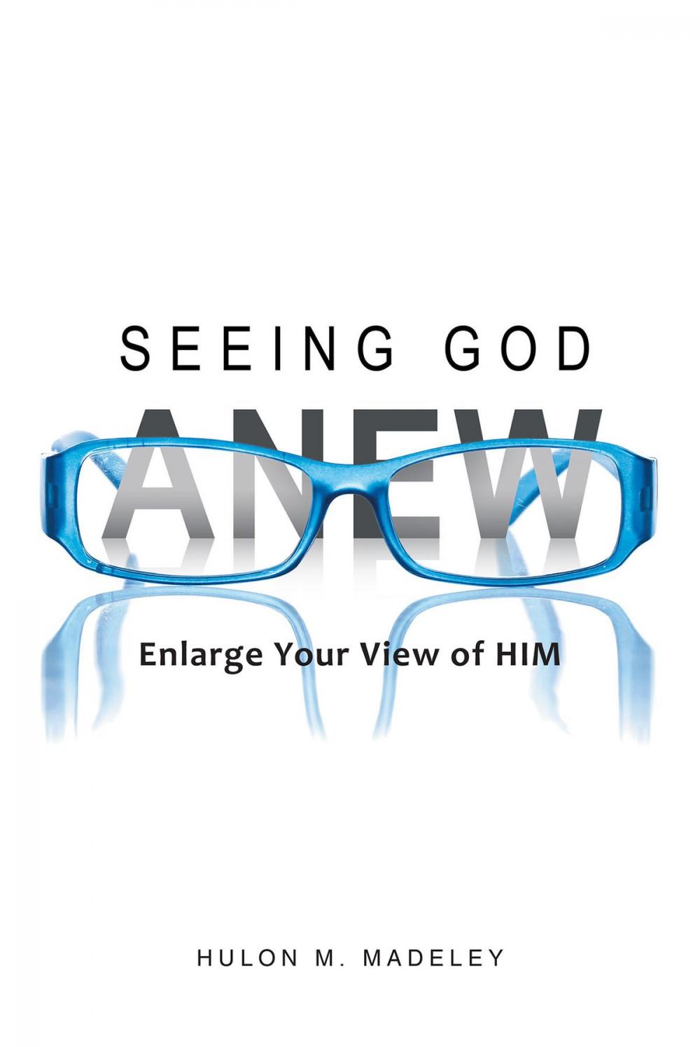 Big bigCover of Seeing God Anew