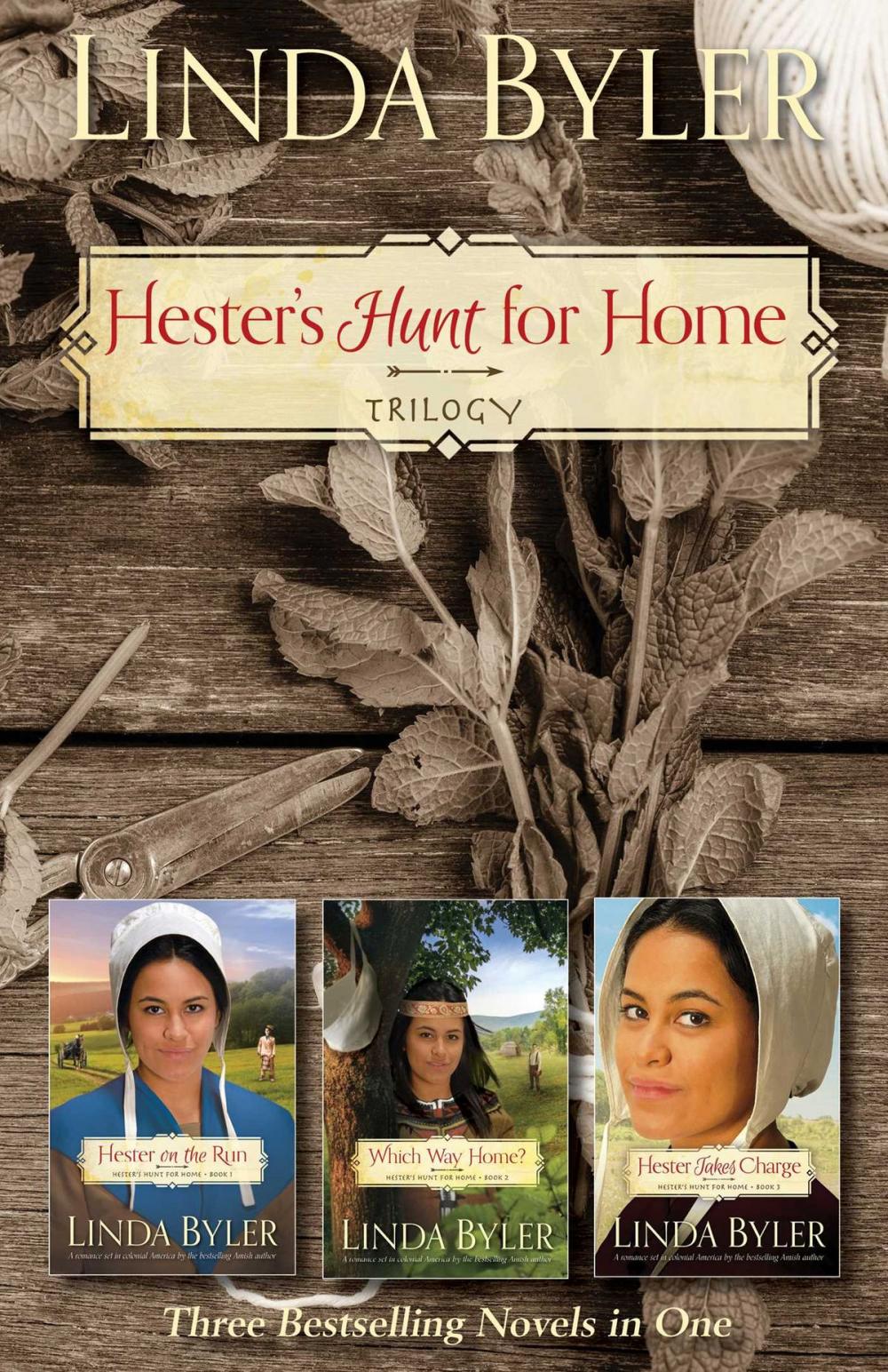 Big bigCover of Hester's Hunt for Home Trilogy