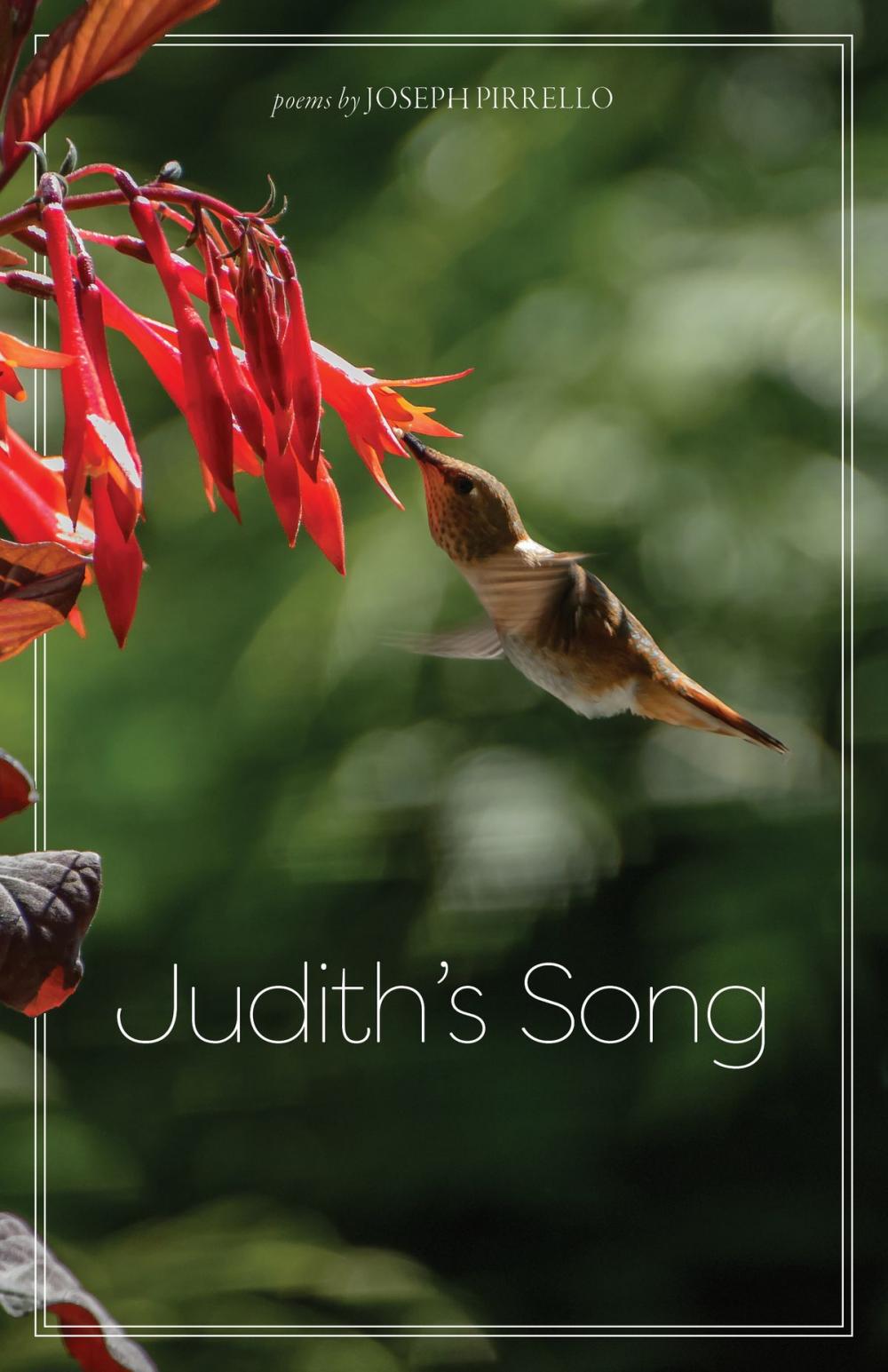 Big bigCover of Judith's Song