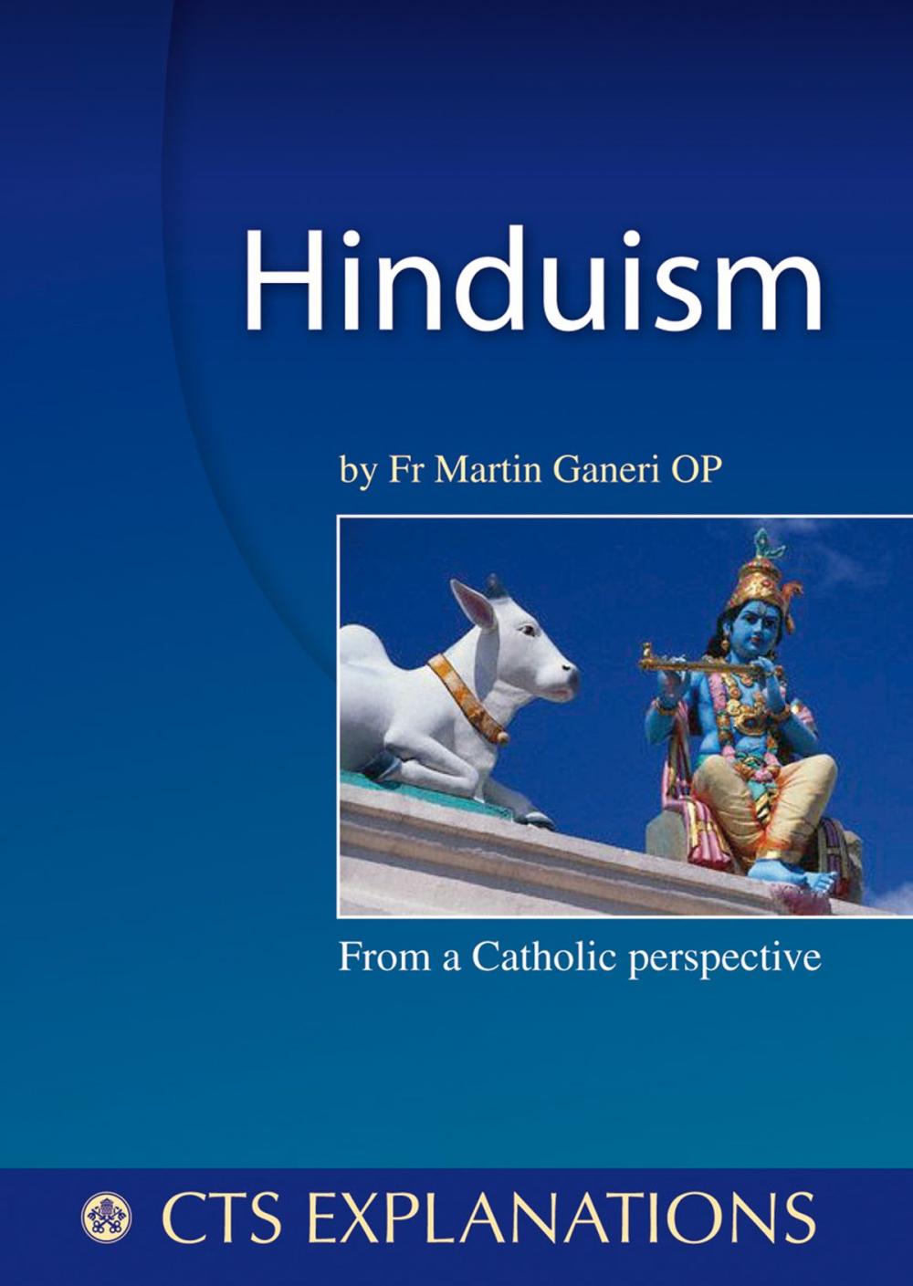 Big bigCover of Hinduism