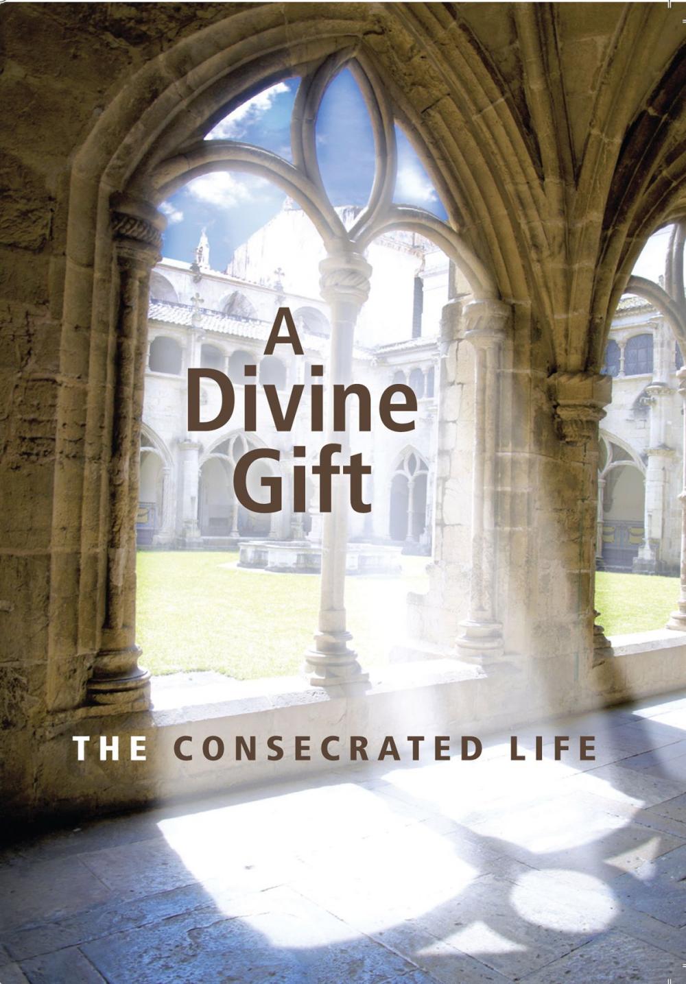 Big bigCover of A Divine Gift