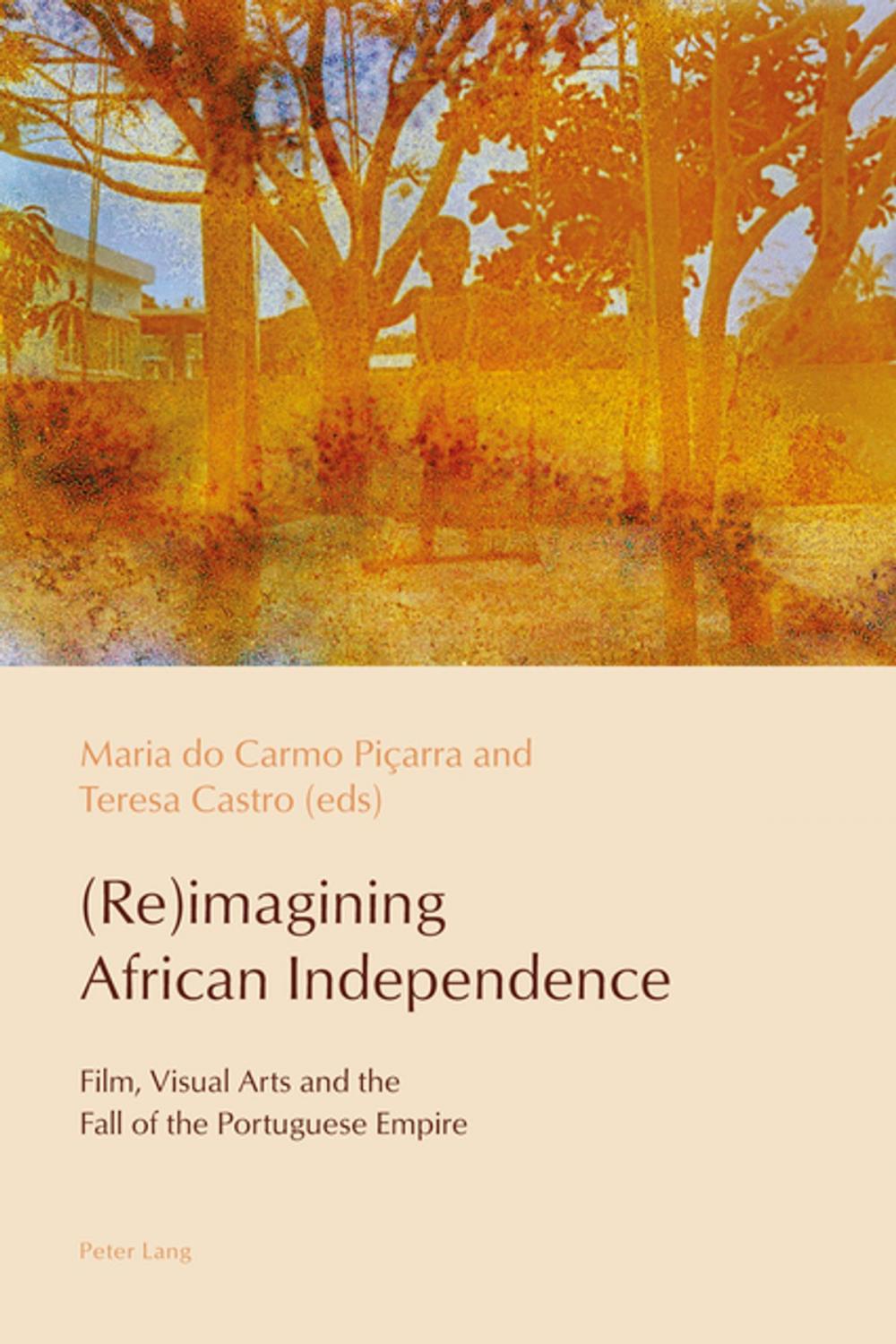 Big bigCover of (Re)imagining African Independence