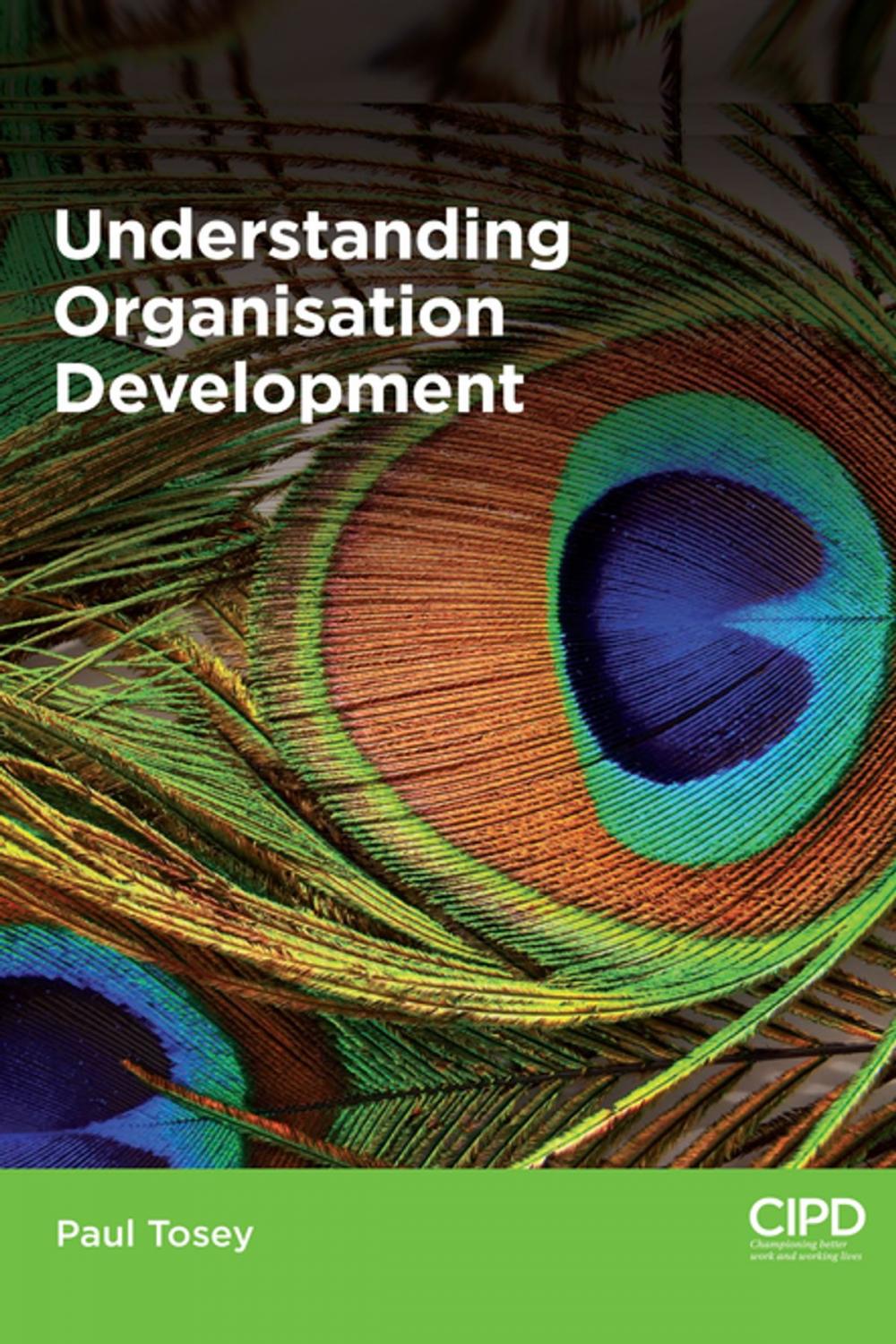 Big bigCover of Understanding Organisation Development