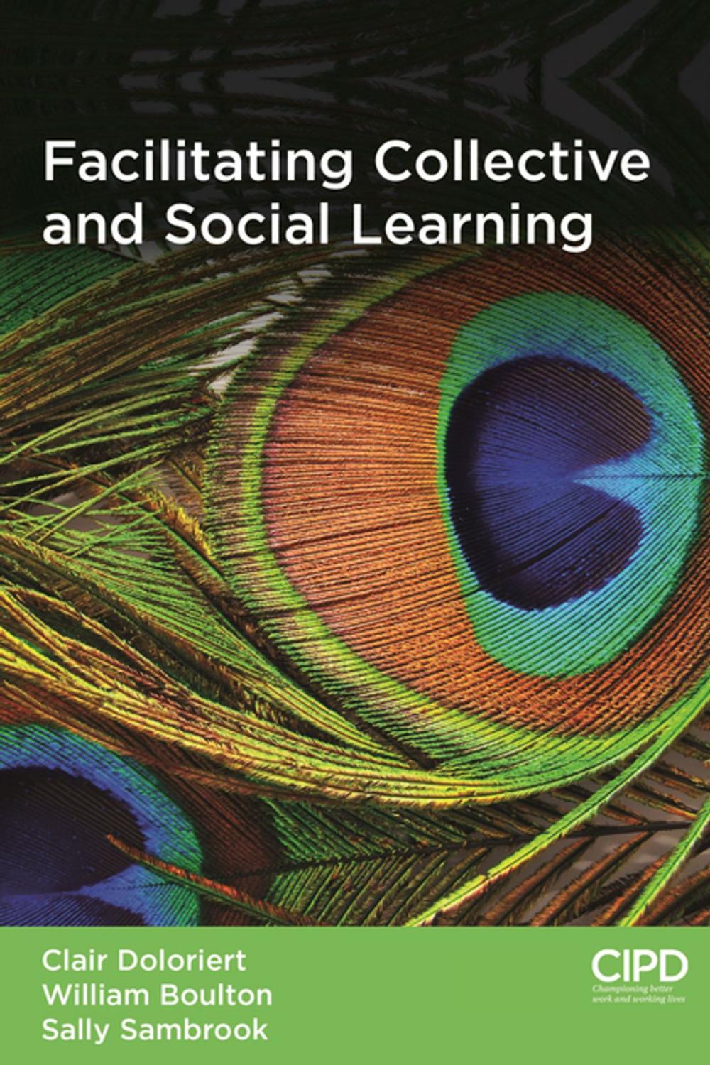 Big bigCover of Facilitating Collective and Social Learning