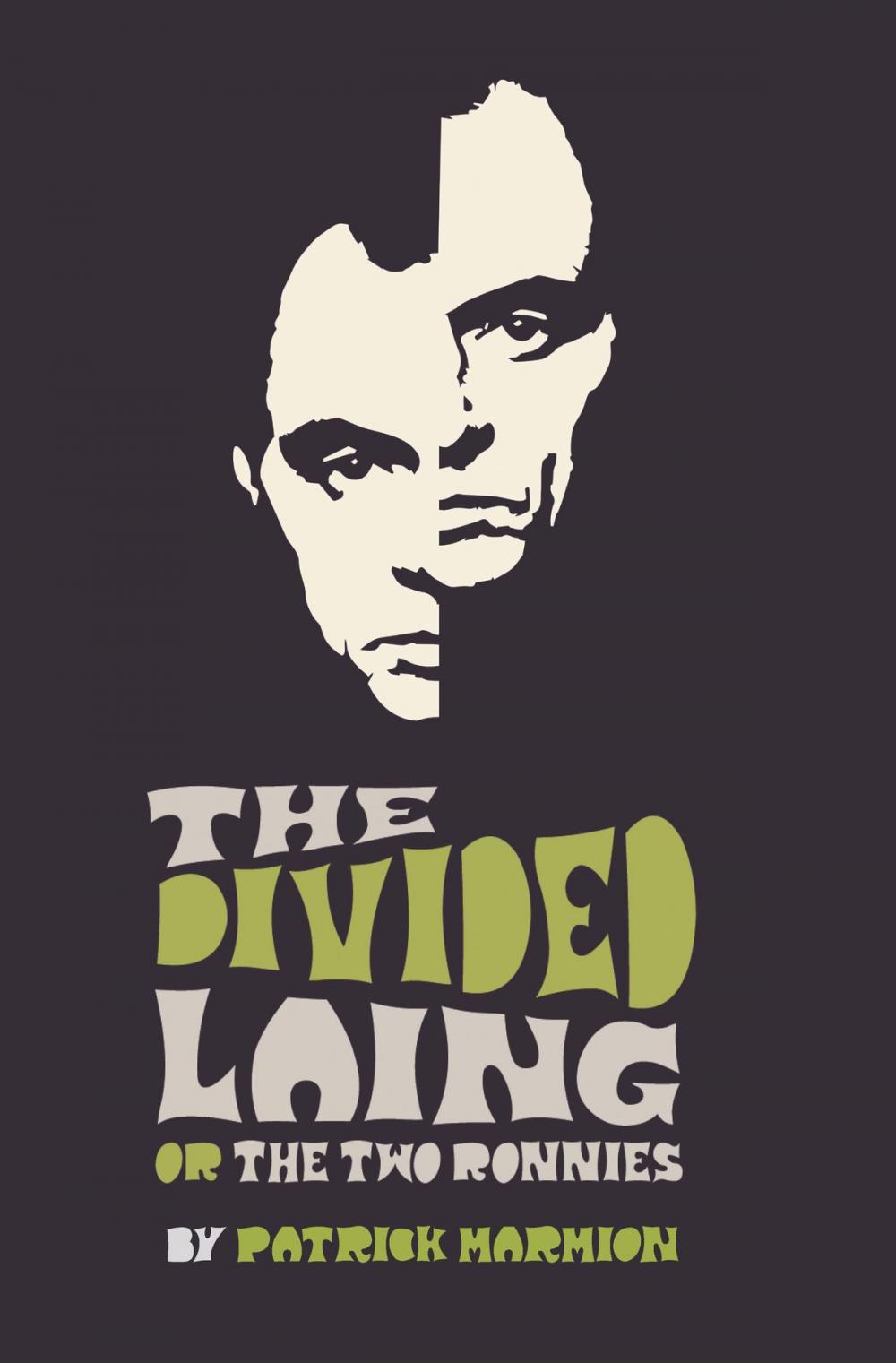 Big bigCover of The Divided Laing