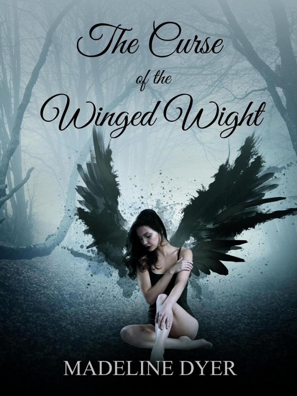 Big bigCover of The Curse of the Winged Wight