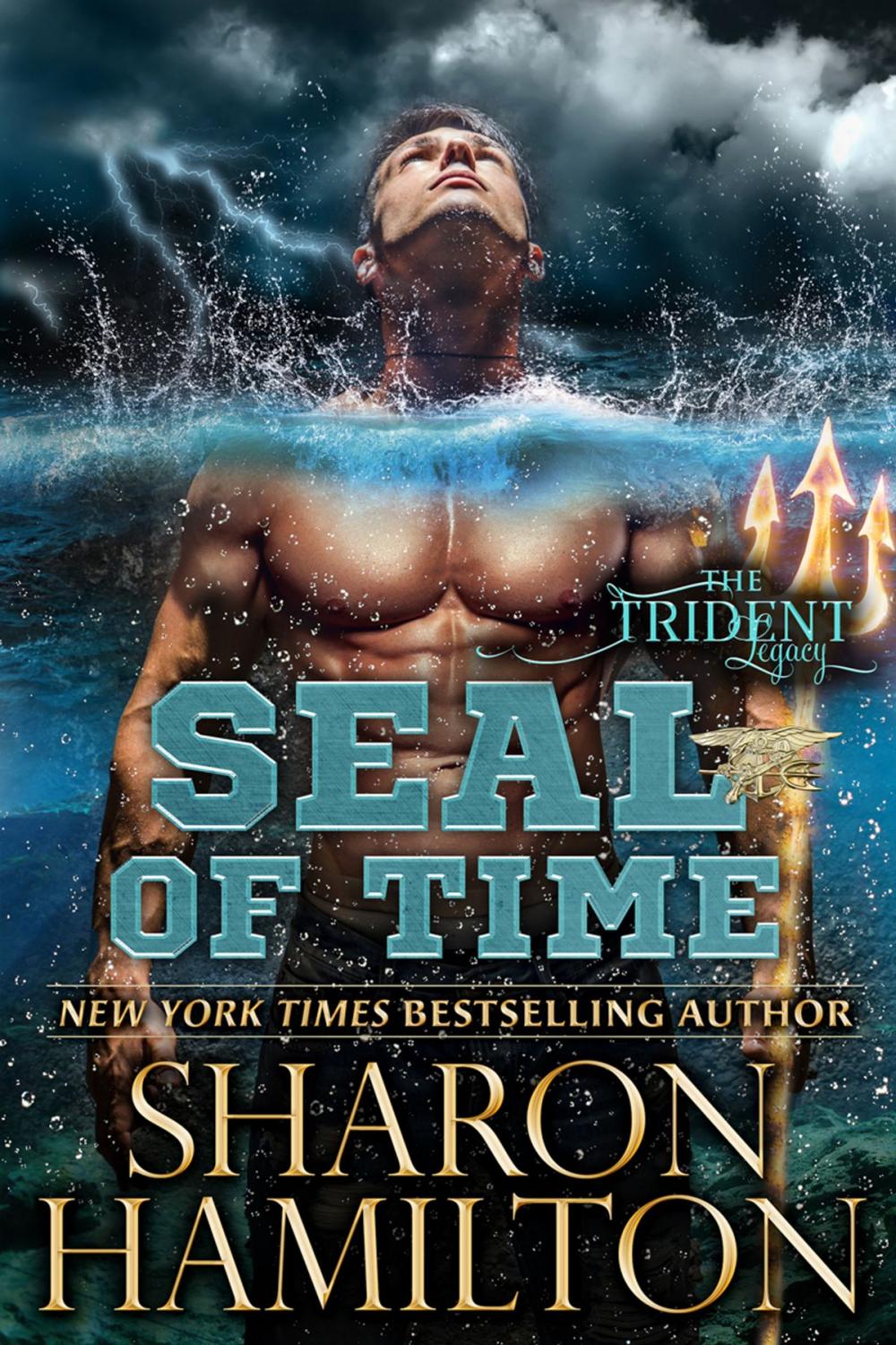 Big bigCover of SEAL Of Time