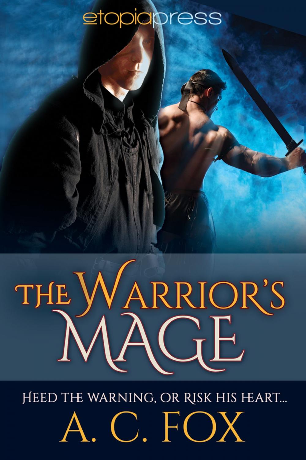 Big bigCover of The Warrior's Mage
