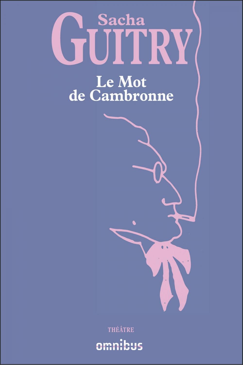 Big bigCover of Le Mot de Cambronne