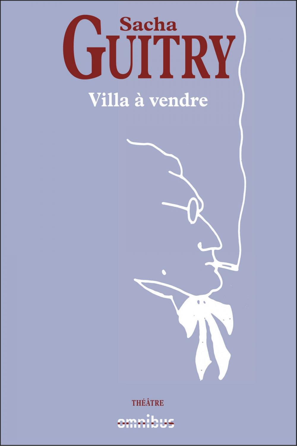 Big bigCover of Villa à vendre