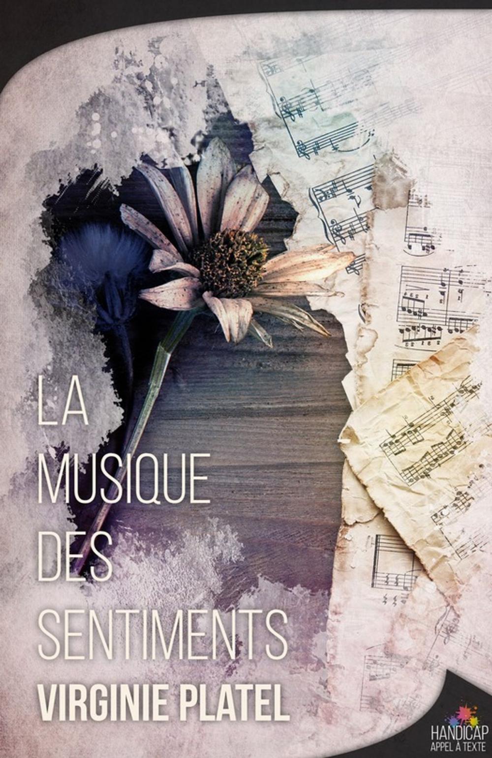 Big bigCover of La musique des sentiments