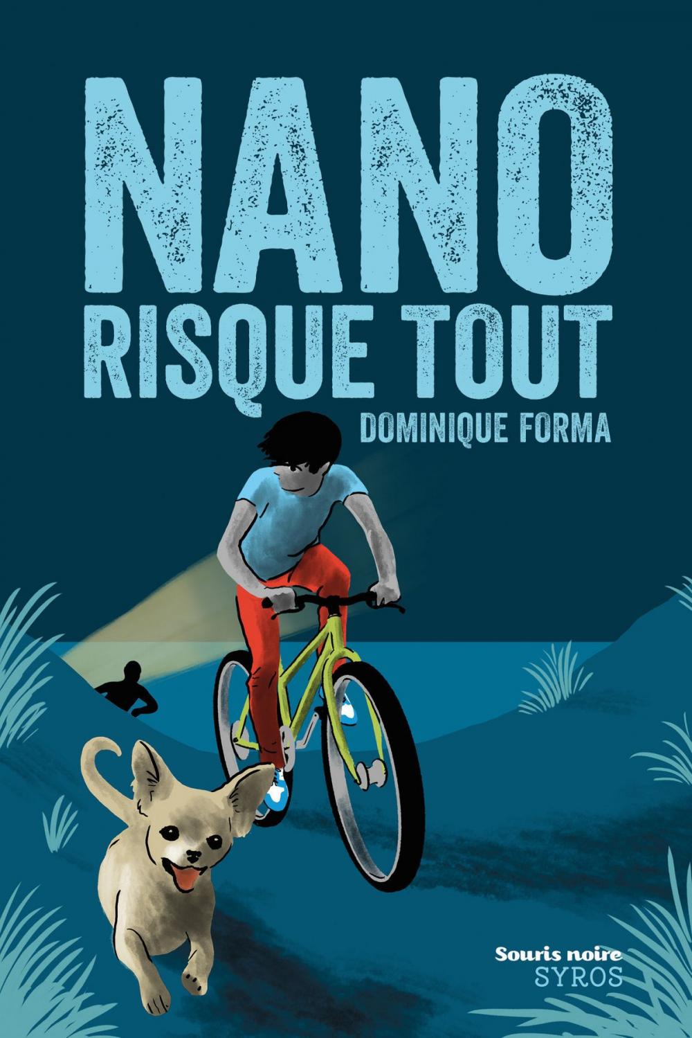 Big bigCover of Nano risque tout