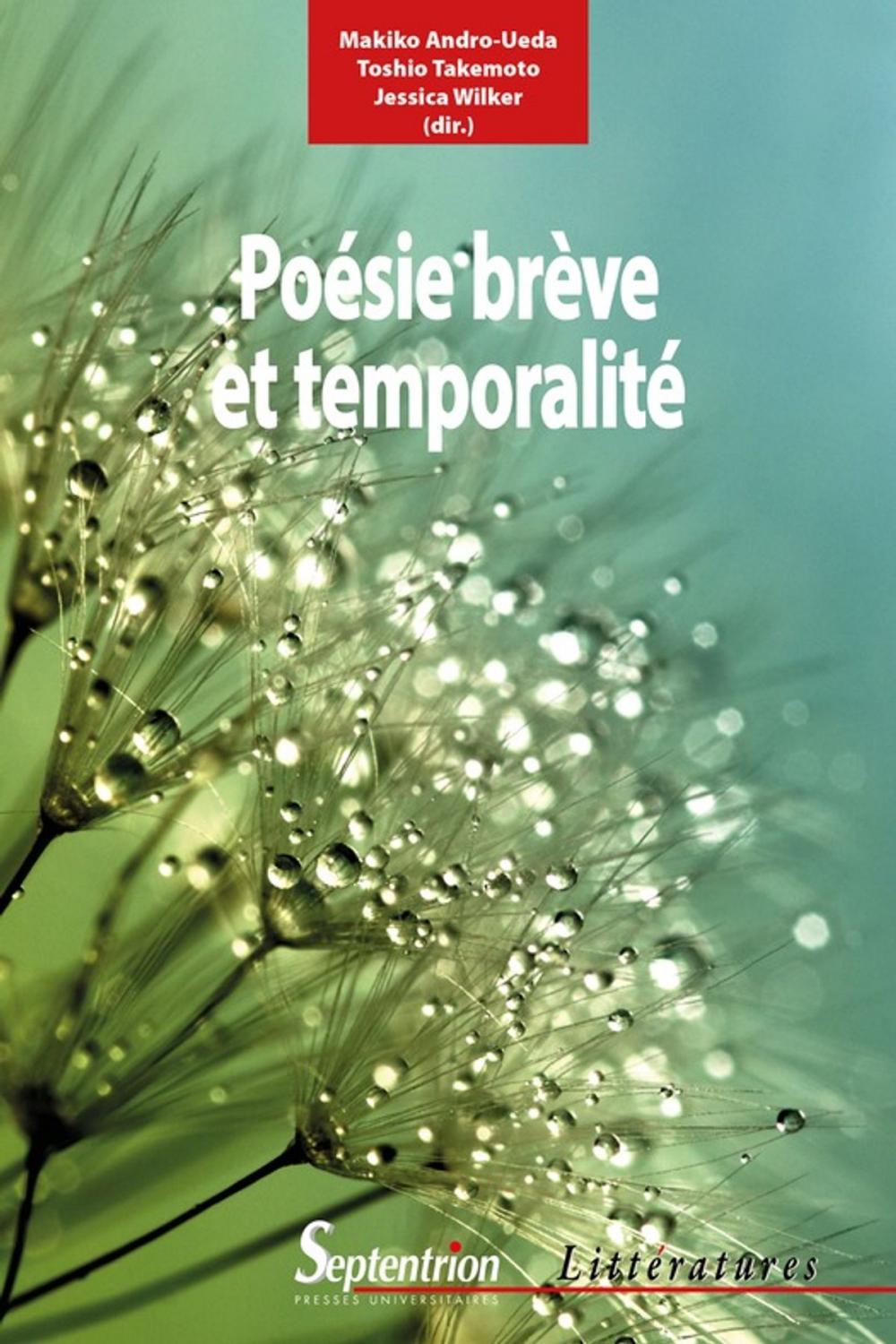 Big bigCover of Poésie brève et temporalité